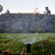 A man records sprinklers watering the lawn of a house in Beverly Hills, California, at the height of the drought in 2015.